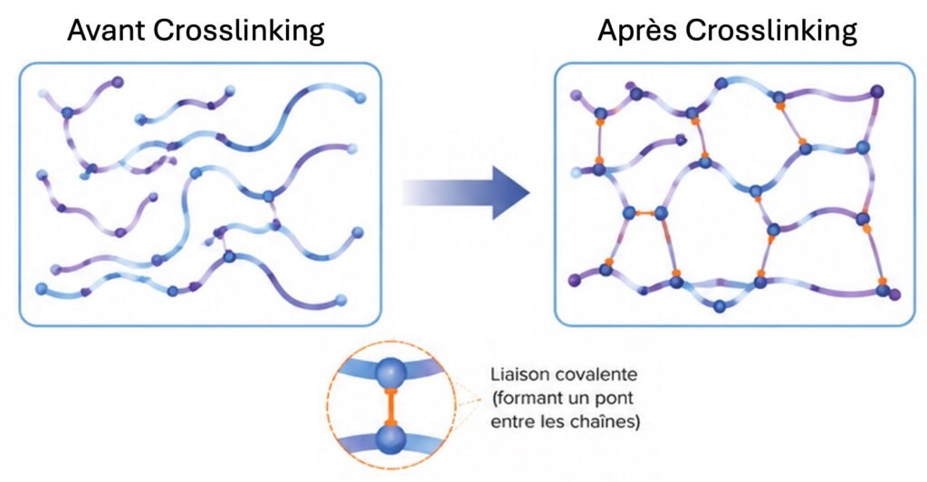 Guindolet crosslinking keratocone